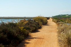 Tavira - Ria Formosa by cingularite @ Wikimedia.org