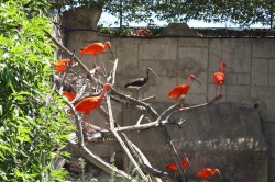 Zoo - Lagos Portugal