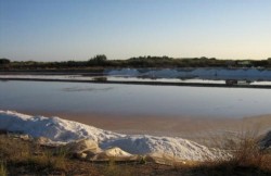 Tavira - Nature Trip - Salt Pans in Ria Formosa