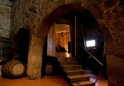 Port Wine Cellars Tour - Calem