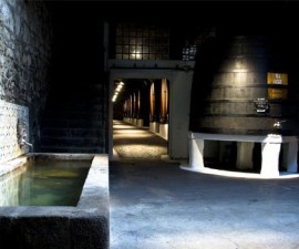 Port Wine Cellars Tour - Sandeman
