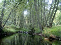 Porto - Nature Trip and Sightseeing - Montesinho Natural Park by Manuel Anastacio @Wikimedia.org