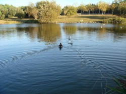 Porto - Parque da Cidade by Joseolgon @Wikimedia.org